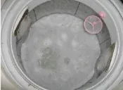 買9送1~1包可洗2次超省錢，歡迎試用~我們沒有華麗的包裝只有樸實價格~SPA洗衣槽專用活氧去垢鹽~安全無毒~