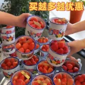 全球選品1館 生活百貨 網紅草莓蛋糕杯老式茶缸子搪瓷杯復古懷舊大紅花搪瓷盆烘焙用品