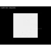 《磁磚本舖》30G2505 30*30cm 淺白灰色碎石紋石英磚 地壁磚可用 MIT 止滑 抗污 微水磨石