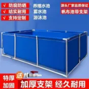 🚚 免運｜加厚帆布魚池 鍍鋅支架一整套 戶外養殖蓄水池 防水布游泳池 大型耐用型 家用商用皆可 防漏抗撕裂 夏日戲水必