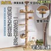 楓幕百貨 ✨下單備註高度 頂天立地通天柱 通天柱 貓抓柱 貓爬架 寵物樓梯 貓窩太空艙 貓抓板 貓跳台 實木通天柱 貓別墅 貓