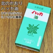 日本製零食氣味線香 北見薄荷油ミニ寸線香 50克