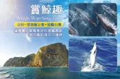 【Gomaji】宜蘭-噶瑪蘭號(賞鯨) 單人龜山島賞鯨趣