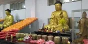 0905556902彰化溪湖撿骨祭拜品擇日黃玉骨灰罐1萬2客人賣大度山東海寶覺寺五湖園骨灰位寶塔位普羅契約彰化禮儀六萬八