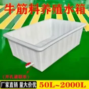 什物集 【台灣公司 可開發票】大號加厚牛筋塑料長方形水箱水產養殖箱養魚賣魚泡瓷磚方桶種養殖
