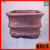 紫砂花盆 盆栽花器 陶瓷花盆 復古粗陶盆 菖蒲蘭花專用 透氣四方形 多肉盆栽容器 桌面擺飾 盆器 園藝用品 花瓶