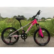 20吋鋁合金變速童車，碟盤煞車，可鎖避震前叉