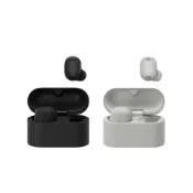 (店+)【SONY 索尼】SONY WF-1000XM6 真無線降噪 藍牙耳機 (公司貨保固12+6個月) 送矽膠保護套