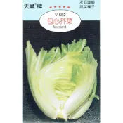 愛上種子 包心芥菜 【蔬果種子】 天星牌小包裝種子