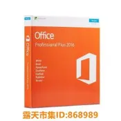 樂享購✨辦公office 2019/2016/2013/2010 專業版proplus/小企業標準版中英文含光碟金鑰彩包