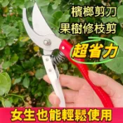 台灣現出⚡A級紅白剪 檳榔剪刀 新款進口材質剪刀 園林花藝修剪 樹枝剪刀 強力粗枝剪 果樹花卉剪枝鉗 AAWZ