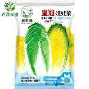 原裝皇冠娃娃菜種子 小結球白菜 迷你高麗菜 家庭有機蔬菜 陽台盆栽種植 四季播種 快速收成 清脆鮮甜 火鍋菜 生菜沙拉