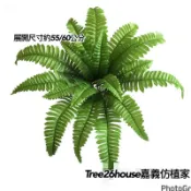 😇仿真蕨葉😇仿真植物 18頭大波斯葉 仿真綠葉 花把 花蕨葉 植物牆 超美蕨類植物