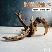 宏洋水族【霸王級限量沉木／特A+ 紫柚木✨】水族裝飾 天然沉木 沉木造景 杜鵑根 水族箱造景 沉木造景 水草造景