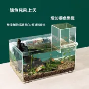 魚缸造景生態缸小型桌面斗魚孔雀缸家用客廳小水族箱 魚缸 海水缸 水族箱