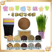 🔷台灣公司貨0運費🔷寵物草種子組合包 貓草 貓草Diy 貓草盒 種貓草盆 小麥種子 貓薄荷種子 貓草盆栽 小麥草 兔草