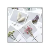 (店+)可挑款 清新乾燥花卡片（採透明袋裝-無另外信封）生日卡 教師節 情人節 感謝卡 母親節卡片 禮物卡片 g2293 