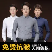 【工廠直銷】男士正裝襯衫長袖無口袋slim fit適合商務正裝辦公室穿男士襯衫萊克爆款