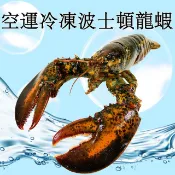 RealShop 真食材本舖 加拿大空運冷凍波士頓龍蝦(約600g/隻)(2入組)
