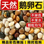 ⭐鵝卵石 小石頭 雨花石 裝飾小庭院魚缸原石水培景觀裝飾鵝卵石鋪陽臺