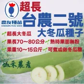 城禾農產🍃 台農2號超長冬瓜種子 6粒 超大冬瓜種子 台農二號冬瓜種子 大冬瓜種子 超大冬瓜種子 大冬瓜種子 冬瓜種子