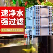 【免運 可開統編】過濾箱週轉箱 魚缸滴流盒上置過濾器 魚池外置沼澤水循環系統過濾盒
