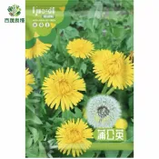 [原裝]蒲公英種子 可食用野菜 养生茶飲 開花超美 陽台盆栽也能種 台灣氣候適合 自採自泡 約1000粒裝