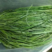 【綠源牧草鋪】 寵物牲畜通用牧草 苜蓿草 提摩西一割二割 燕麥草甜小麥草百幕達草 陸龟兔子龍貓豚鼠荷蘭豬專用草料