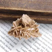 Desert Rose 內蒙產地  沙漠玫瑰石 石膏 天然礦石 原礦