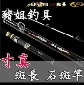 寸真 斑長 大斑竿 石斑竿