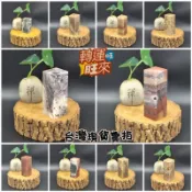 【台灣現貨】無代刻 多款 天然 壽山石 印章 方章 私章 公司章 圖畫章 練習章 精品 擺件 轉運 開運 招財 好運