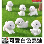 WINE台灣惟恩  微景觀 可愛白色泰迪 泰迪熊 小熊 熊 多肉 造景 佈置 場景佈置