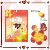 日本 LOTTE 樂天 小梅軟糖 梅子糖 49g 南高梅軟糖 日本南高梅 梅子軟糖 日本軟糖 花瓣軟糖 日本梅子 梅子糖