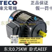 【可開票】TECO東元剎車電機0.75KW ETEFDF 750W AEEF2N TEGH80M製動馬達1HP