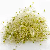 【樂膳自然】碧蘿村農場無毒苜蓿芽-全素