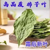 葉中藥材500g克新鮮幹貨柿葉茶秋後柿子葉柿葉霜後柿子樹葉茶黃金牛蒡茶東洋參茶草本養生茶清腸茶