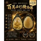 百萬掩面佛必打佛佛牌聖物現貨泰國防水殼龍婆孔龍婆宏佛歷2553年