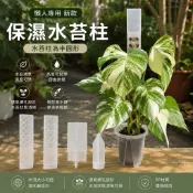 水苔柱/水苔棒/保濕水苔柱/椰棕棒/植物支撐棒/椰纖棒/攀爬棒/水苔/水草/蔓綠絨/龜背芋/合果芋/爬藤植物/觀葉植物