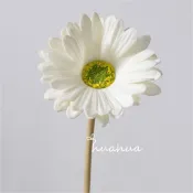 【HUAHUA】🔥仿真花 人造花 塑膠花 波斯菊  PU非洲菊假花 大菊花 擬真花 人工花 拍照道具 婚禮裝飾