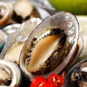 【華得水產】台灣宜蘭九孔小鮑魚2包組(500g土10%/20-25粒/包 春節照常出貨)
