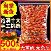 【奈斯雜貨鋪】精選 新貨梔子果梔子500g花茶上色食用大顆野生梔子果黃梔子茶山梔子茶