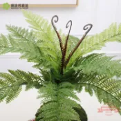 連盛 仿真波斯蕨 造景裝飾蕨類植物波斯草植物墻塑料綠草