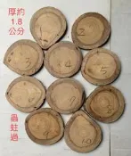 台灣櫸(紅雞油)年輪木片/鹿角蕨栽種板/隔熱墊/藝品盆景陶藝擺設底座/置物墊／木質墊片