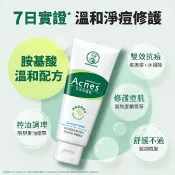 曼秀雷敦 Acnes 抗痘洗面乳 100g 洗面乳 洗臉 潔面乳 洗面 抗痘 洗卸 洗臉慕斯【小三美日】D605294