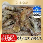 【生活市集】南美進口現撈活凍大白蝦 800g(約29-30隻)/盒  蝦子 蝦仁 冷凍鮮蝦