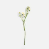 (店+)【HOLA】查莉擬真小花插洋甘菊26cm 白