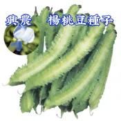 楊桃豆(翼豆)【蔬果種子】 興農牌 楊桃豆種子 中包裝種子 每包約5公克