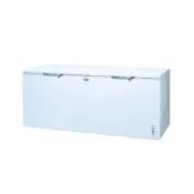 (店+)【SANLUX 台灣三洋】SCF-616G 616公升 臥式冷凍櫃(預購)