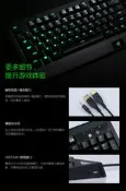 現貨Razer雷蛇 黑寡婦蜘蛛2016終極版青綠橙軸 綠光機械鍵盤