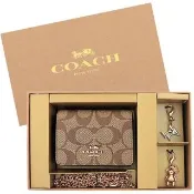 【COACH】大C鍊帶小廢包/包+雞尾酒杯/小熊吊飾禮盒組(咖啡色)
